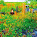 Jhene-aiko-trip-new-cd