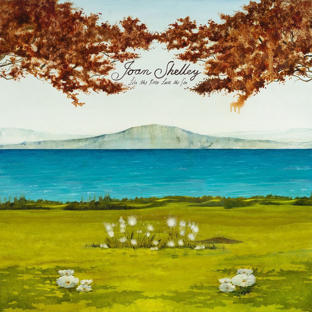 Joan-shelley-like-the-river-loves-the-sea-new-vinyl
