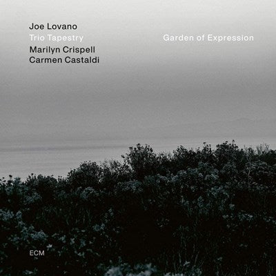 Joe Lovano / Marilyn Crispell / Carmen Castaldi - Garden of Expression (New CD)