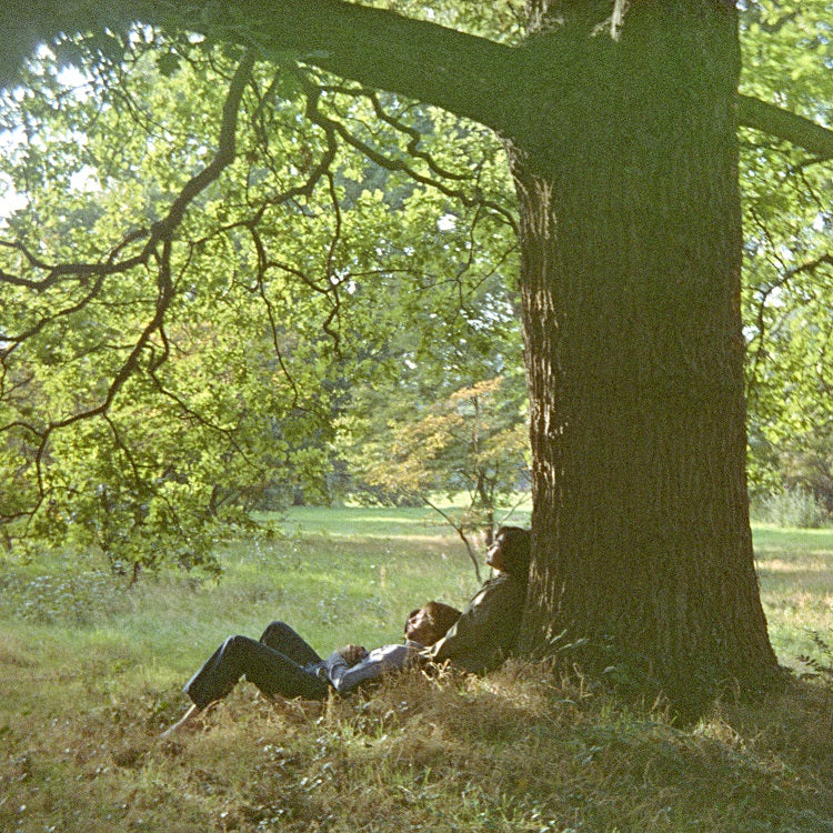 John Lennon/Plastic Ono Band - Ultimate Mixes (2LP) (Half-Speed Mastered) (New Vinyl)