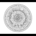John Zorn & Bill Laswell - The Cleansing (New CD)