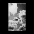 Joni-void-selfless-180g-new-vinyl