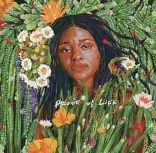 Joy Oladokun - Proof Of Life (New CD)