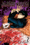 Jujutsu Kaisen - Volume 2 (New Book)