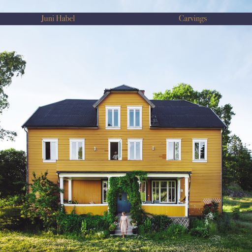 Juni Habel - Carvings (New Vinyl)