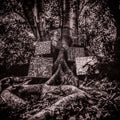 Kamasi-washington-harmony-of-difference-new-vinyl