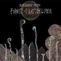 Kikagaku-moyo-forest-of-lost-children-new-cd