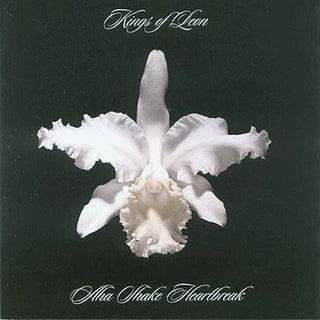 Kings-of-leon-aha-shake-heartbreak-new-vinyl