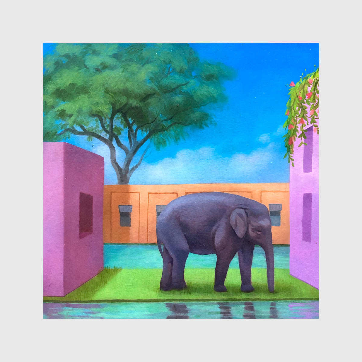 Korea Town Acid - Elephant In The Room (New CD)