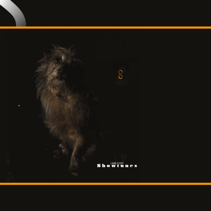 Lambchop - Showtunes (New CD)