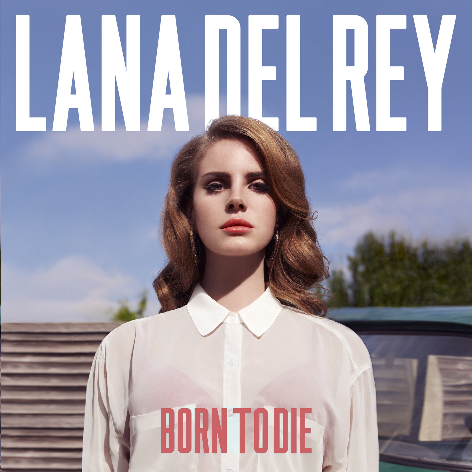 Lana-del-rey-born-to-die-new-vinyl