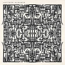 Lettuce-elevate-bone-new-vinyl