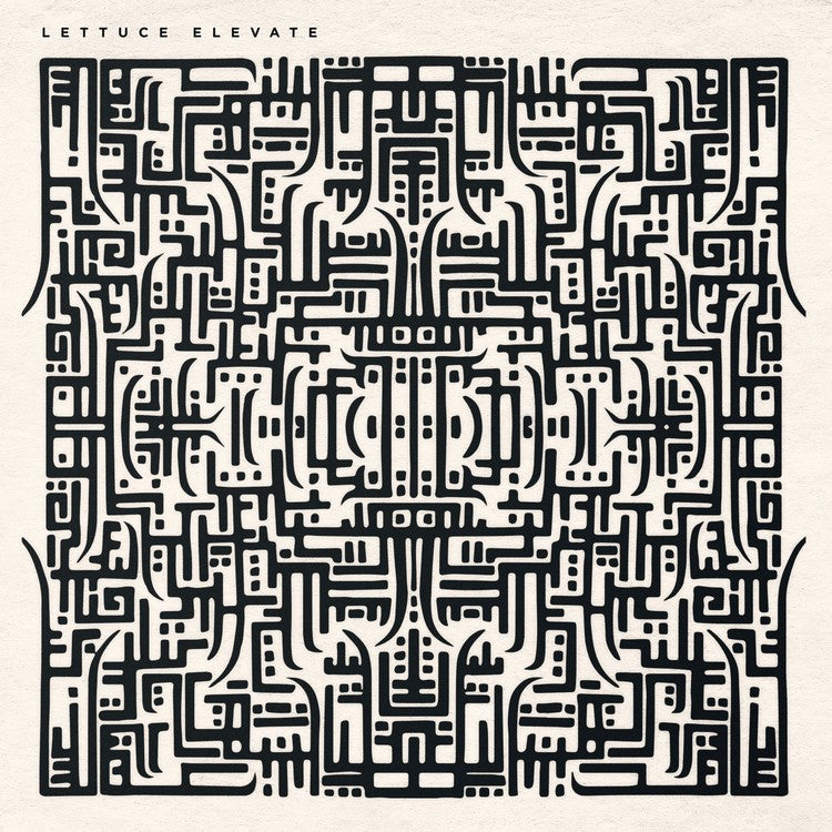 Lettuce-elevate-new-vinyl
