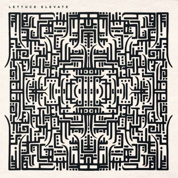 Lettuce-elevate-new-vinyl