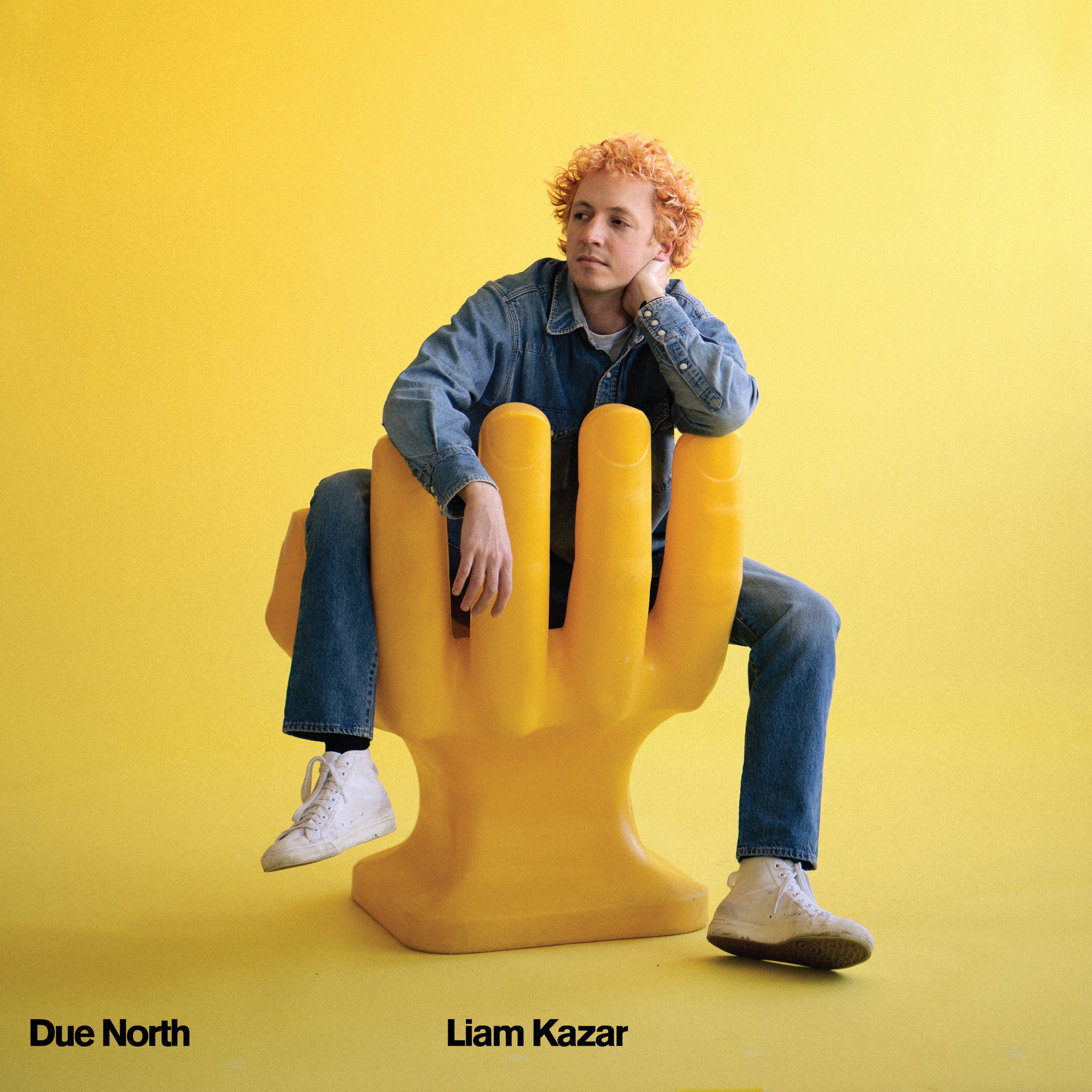 Liam Kazar - Due North (New Vinyl)