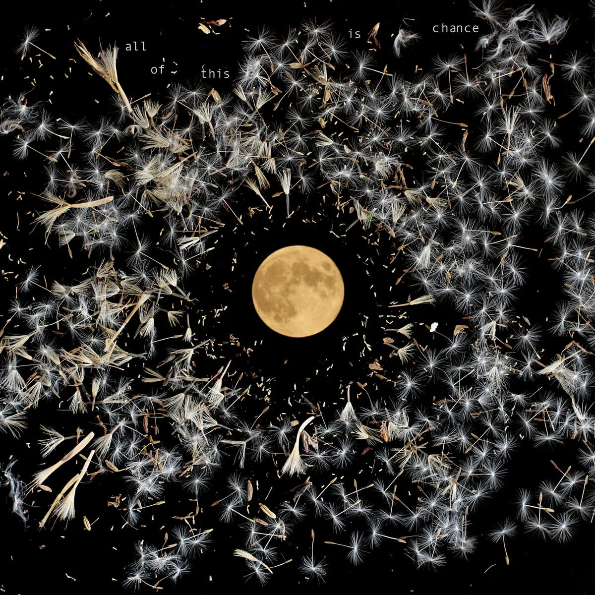 Lisa O'Neill - All Of This Is Chance (Silver/Indie Shop Edition) (New Vinyl)