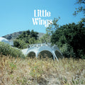 Little-wings-wonderue-new-vinyl