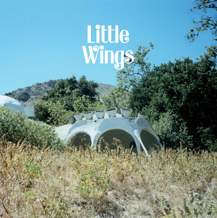Little-wings-wonderue-new-vinyl