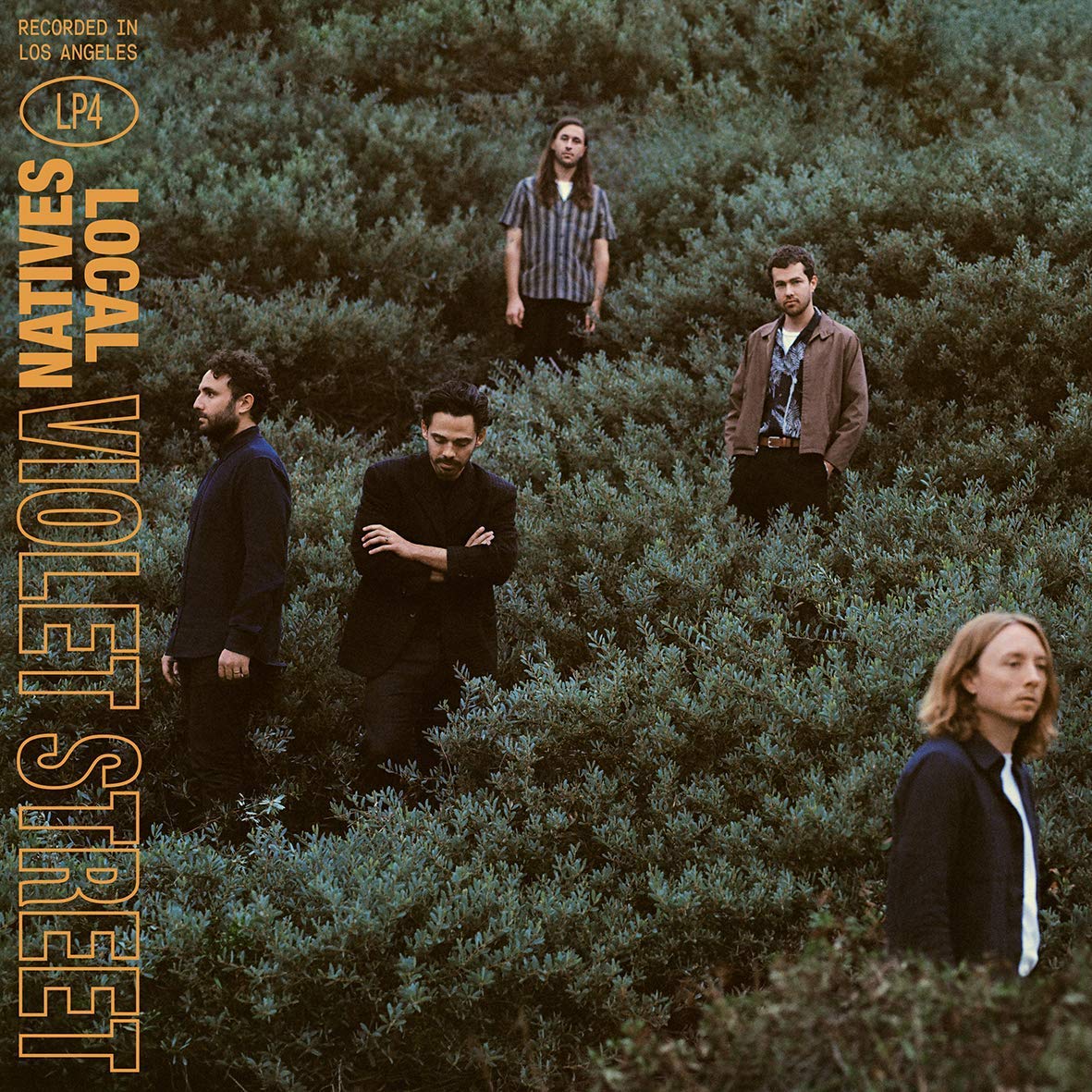 Local-natives-violet-street-new-vinyl