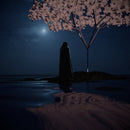 Loji - Gather (New Cassette)