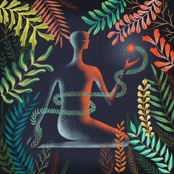 Loma - Don't Shy Away (Ltd Colour) (New Vinyl)