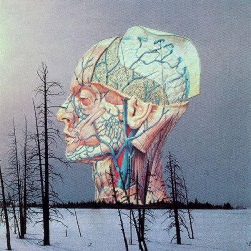 Low - Songs For A Dead Pilot (New Vinyl)