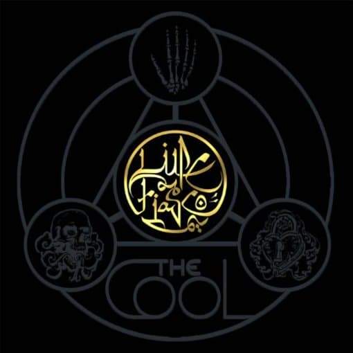 Lupe-fiasco-cool-new-vinyl