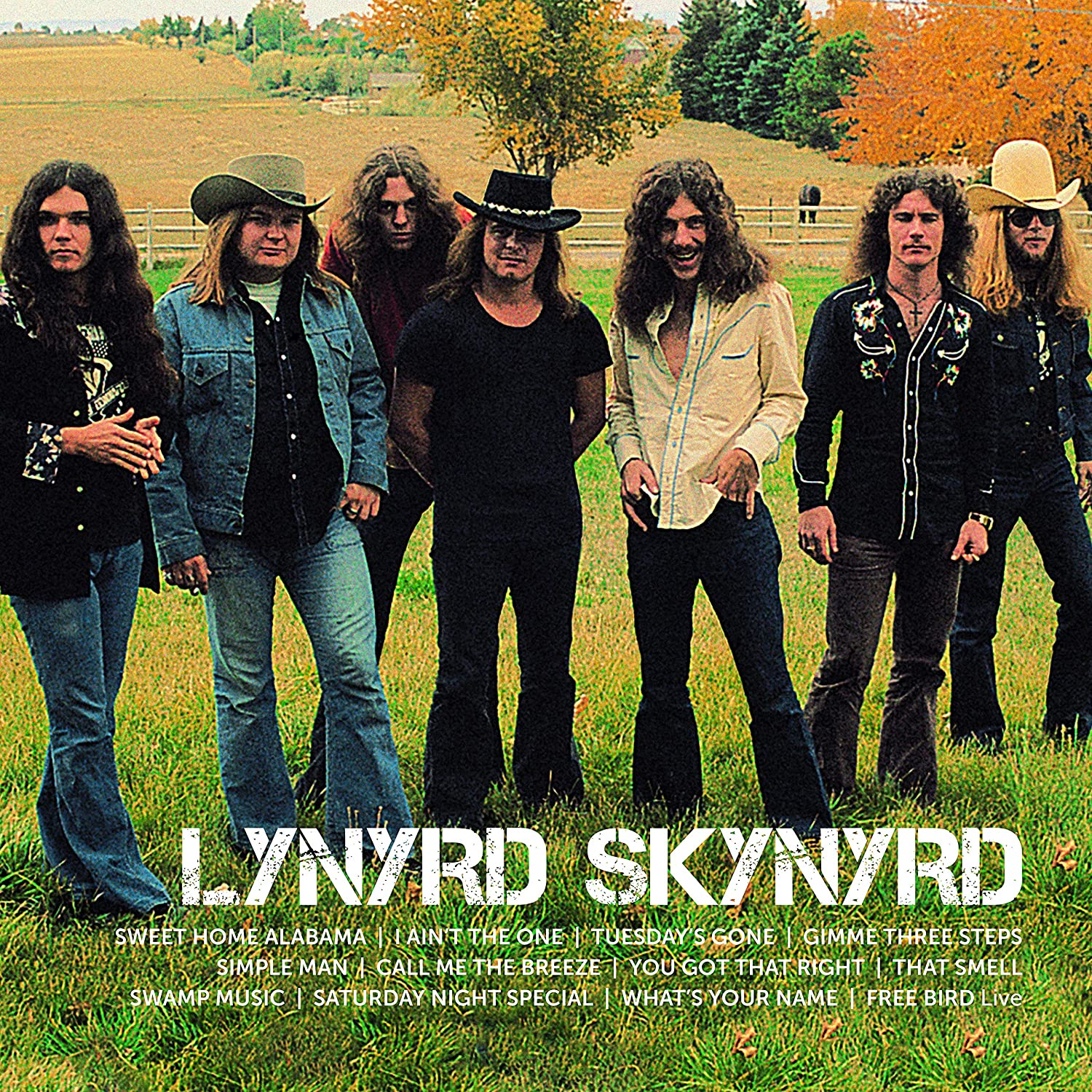 Lynyrd Skynyrd - Icon (2LP) (New Vinyl)