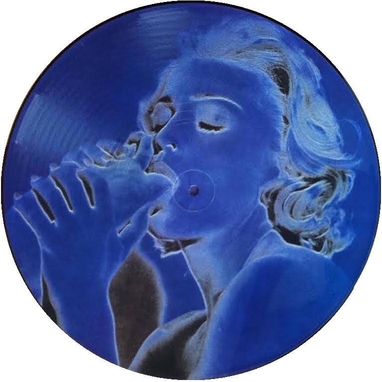 Madonna - Erotica (Picture Disc) (New Vinyl)
