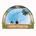 Mapache-mapache-with-bonus-7-new-vinyl