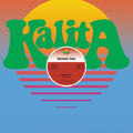 Michael Paul - Reggae Music (12") (New Vinyl)