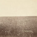 Milk-carton-kids-ash-and-clay-wcd-new-vinyl