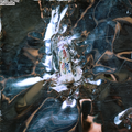 Model/Actriz - Dogsbody (New Vinyl)