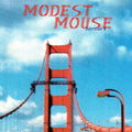 Modest-mouse-interstate-8-new-vinyl