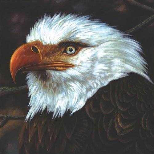 Mogwai-hawk-is-howling-2lp-white-vinyl-new-vinyl