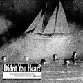 Mort-garson-didn-t-you-hear-black-vinyl-new-vinyl