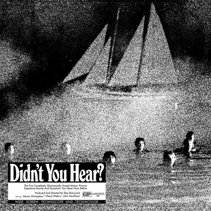 Mort-garson-didn-t-you-hear-black-vinyl-new-vinyl