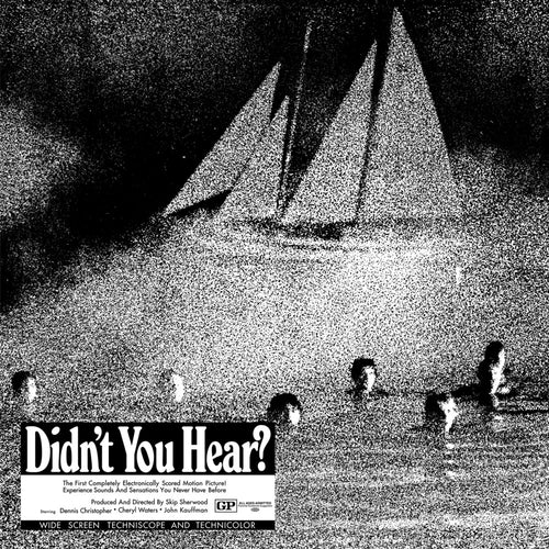 Mort-garson-didn-t-you-hear-silver-vinyl-new-vinyl