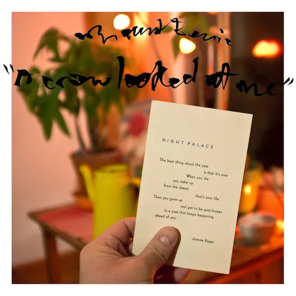 Mount-eerie-crow-looked-at-me-new-cd