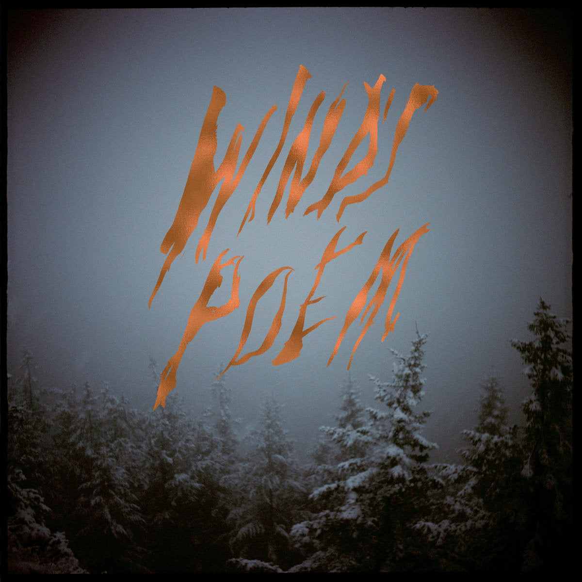 Mount-eerie-wind-s-poem-new-vinyl