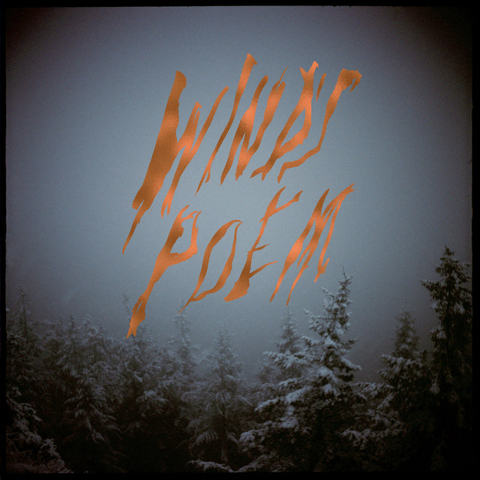 Mount-eerie-wind-s-poem-new-vinyl