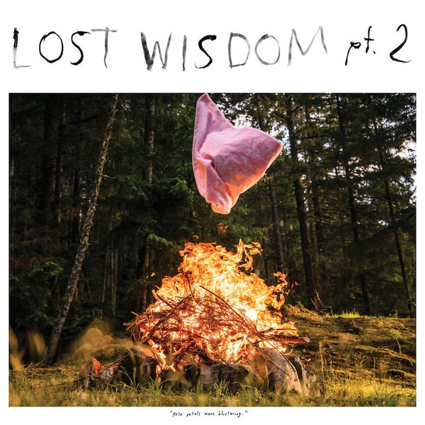 Mount-eerie-with-julie-doiron-lost-wisdom-pts-1-2-new-cd
