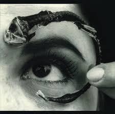 Mr-bungle-disco-volante-180g-new-vinyl