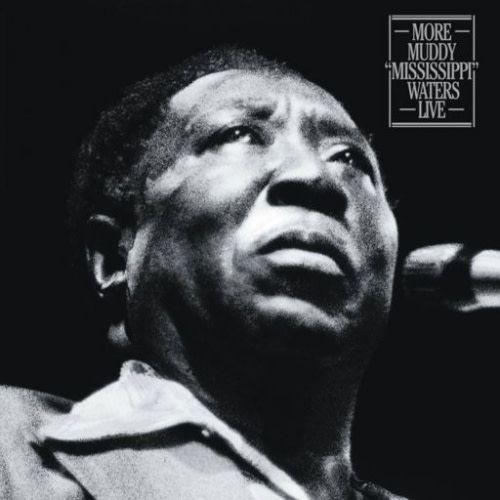 Muddy-waters-more-muddy-mississippi-waters-new-vinyl