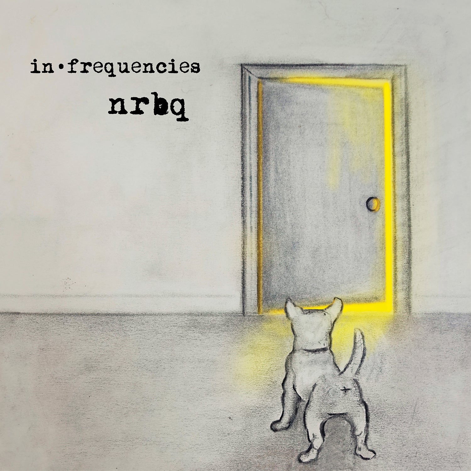 NRBQ - In Frequencies (New Vinyl)