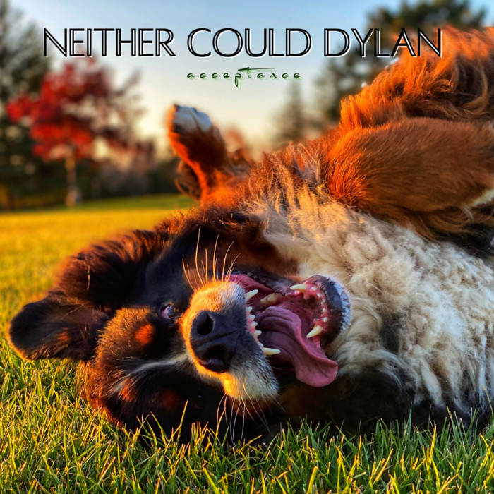 Neither Could Dylan - Acceptance (New CD)