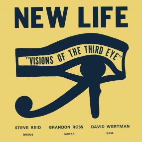 New Life Trio - Visions Of The Third Eye (New Vinyl)
