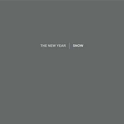New-year-snow-new-vinyl