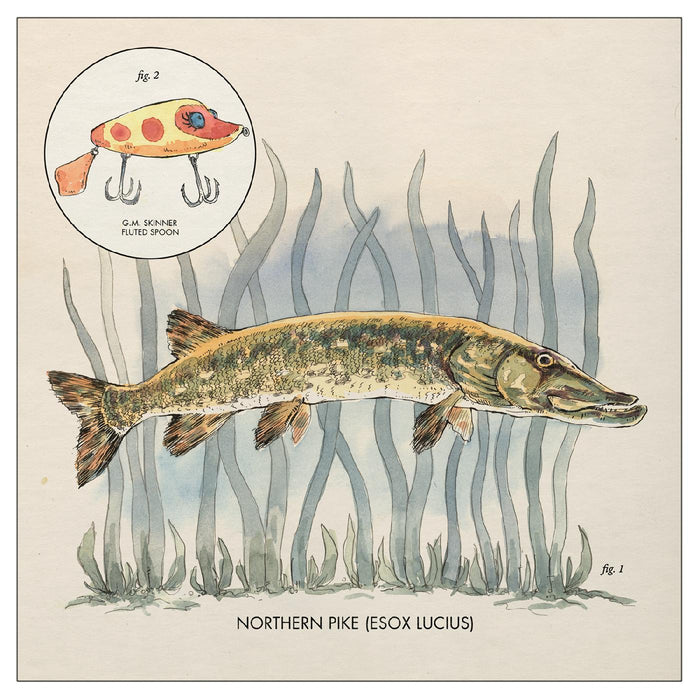 Nick-lowe-lay-it-on-me-vinyl