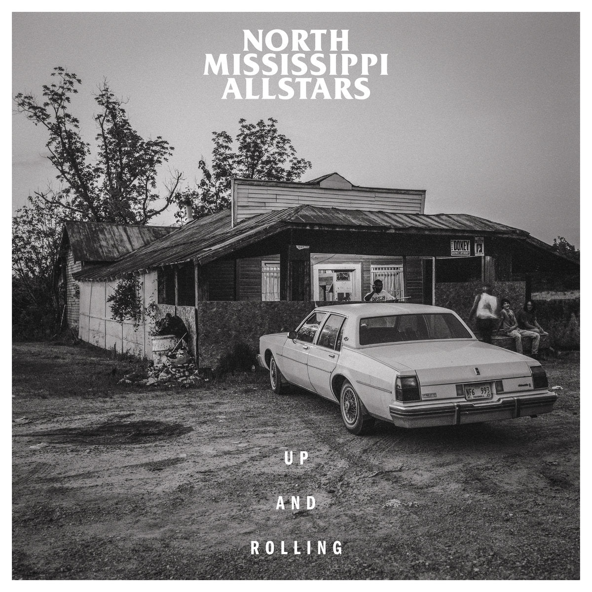 North Mississippi Allstars - Up And Rolling (Ltd. Color) (New Vinyl)